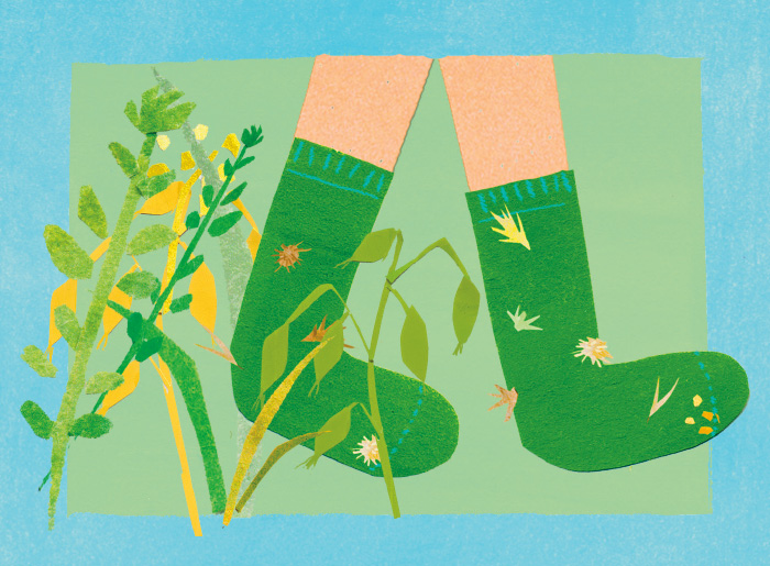 SockGarden