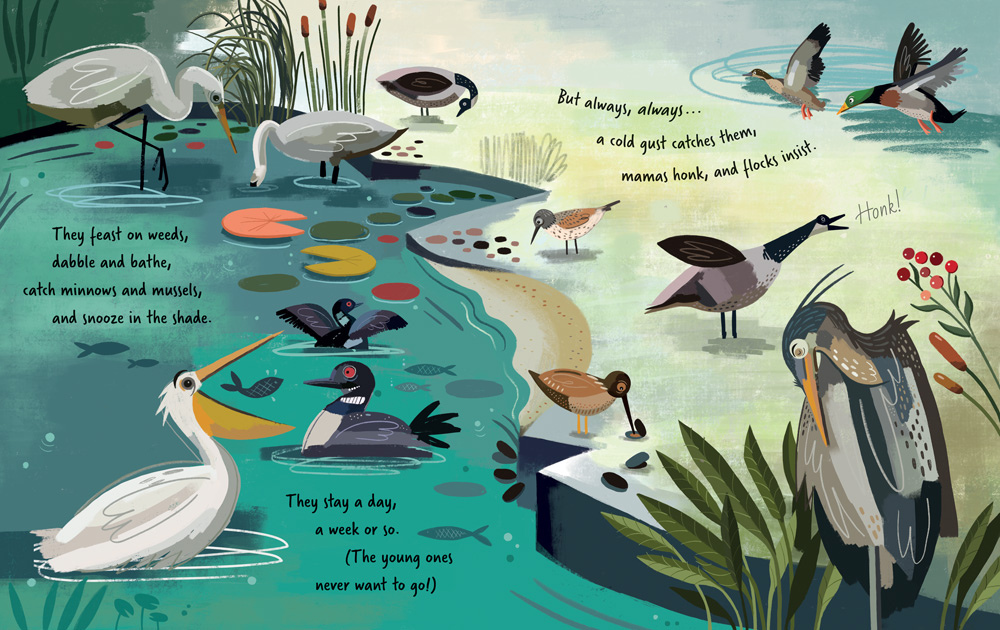 illustration from the childrens book, Follow the Flyway