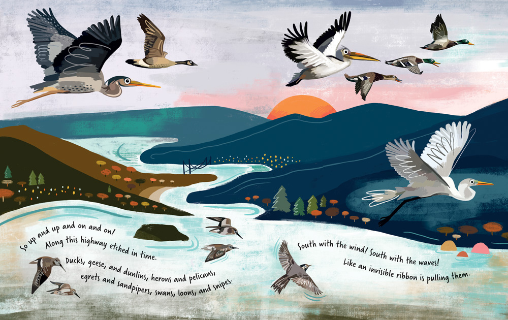 illustration from the childrens book, Follow the Flyway