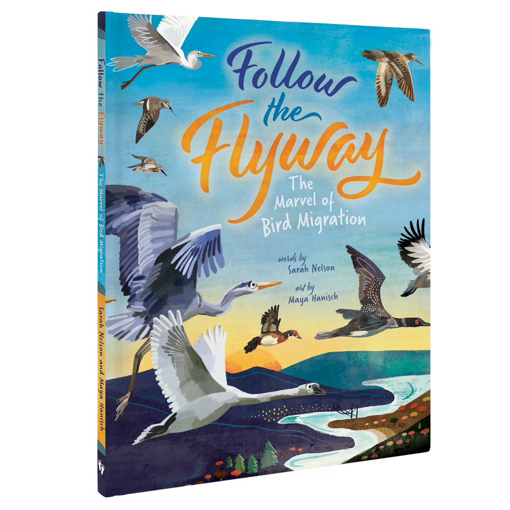 3D cover of Follow the Flyway
