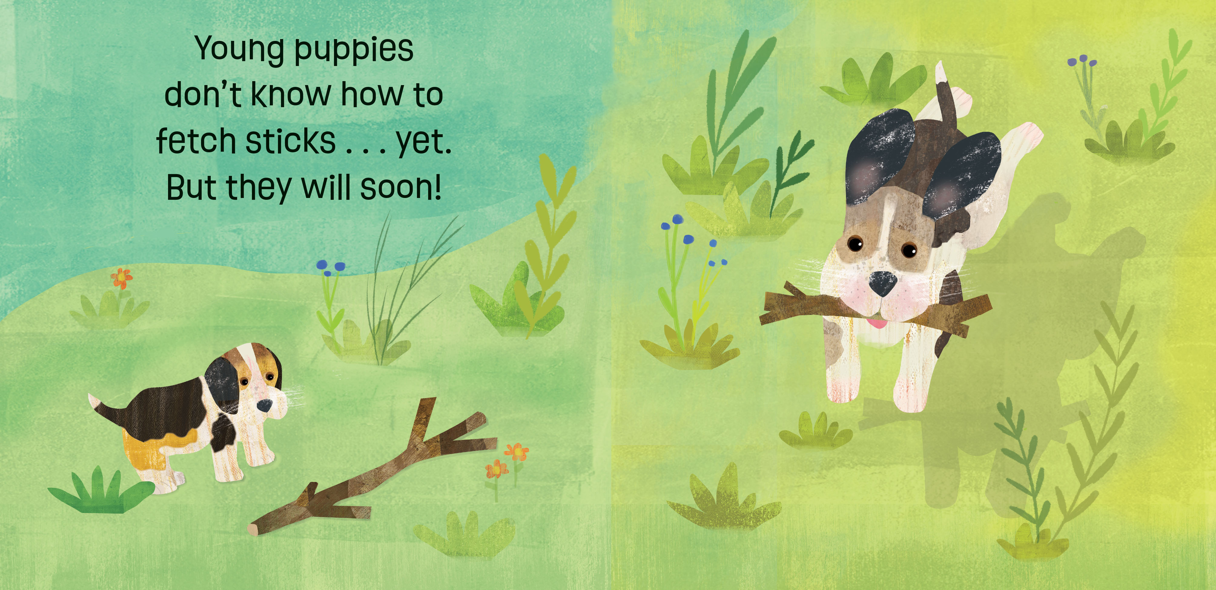 illustration from the childrens book, Puppies Know and Grow, of baby puppies playing fetch with a stick.