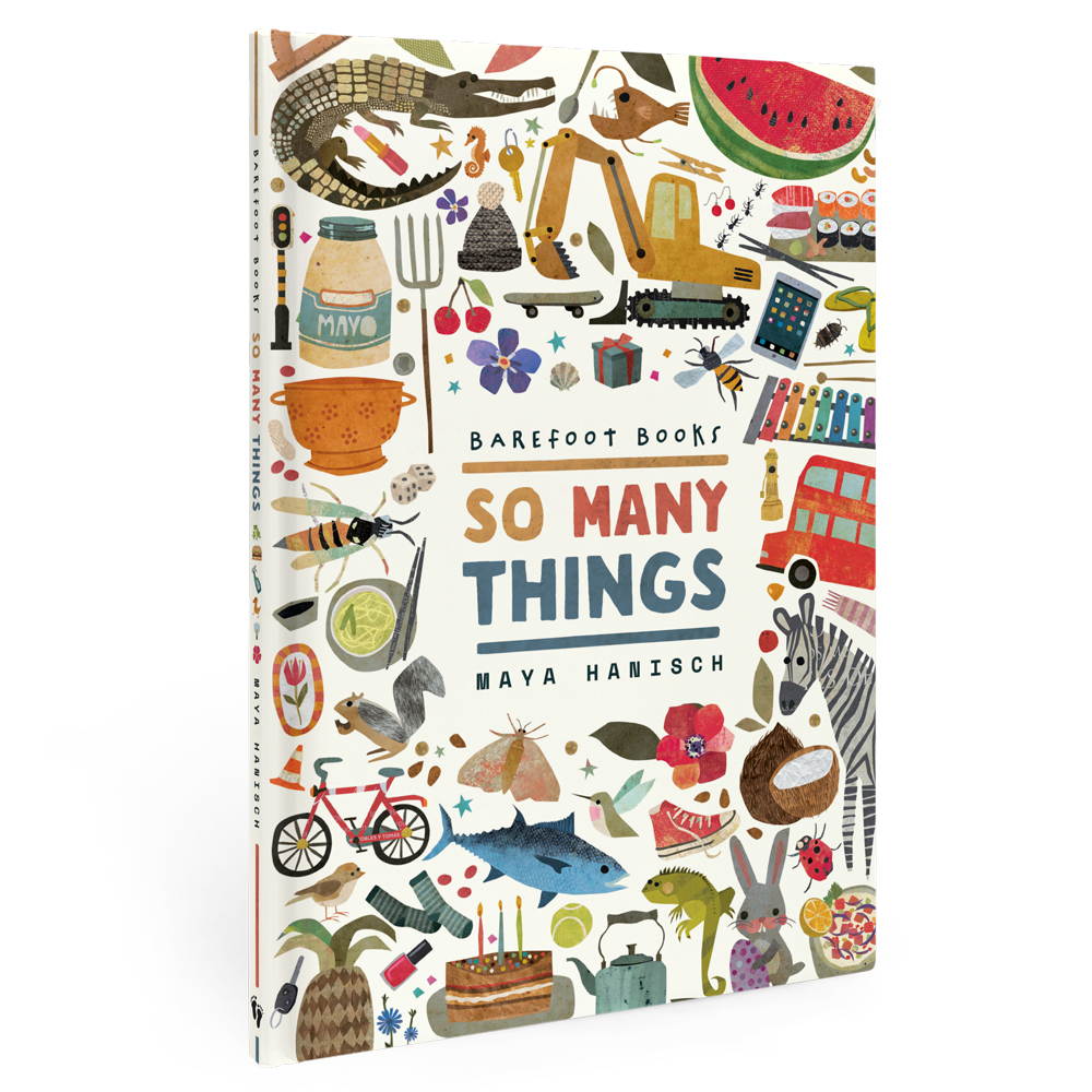 3D image of So Many Things book