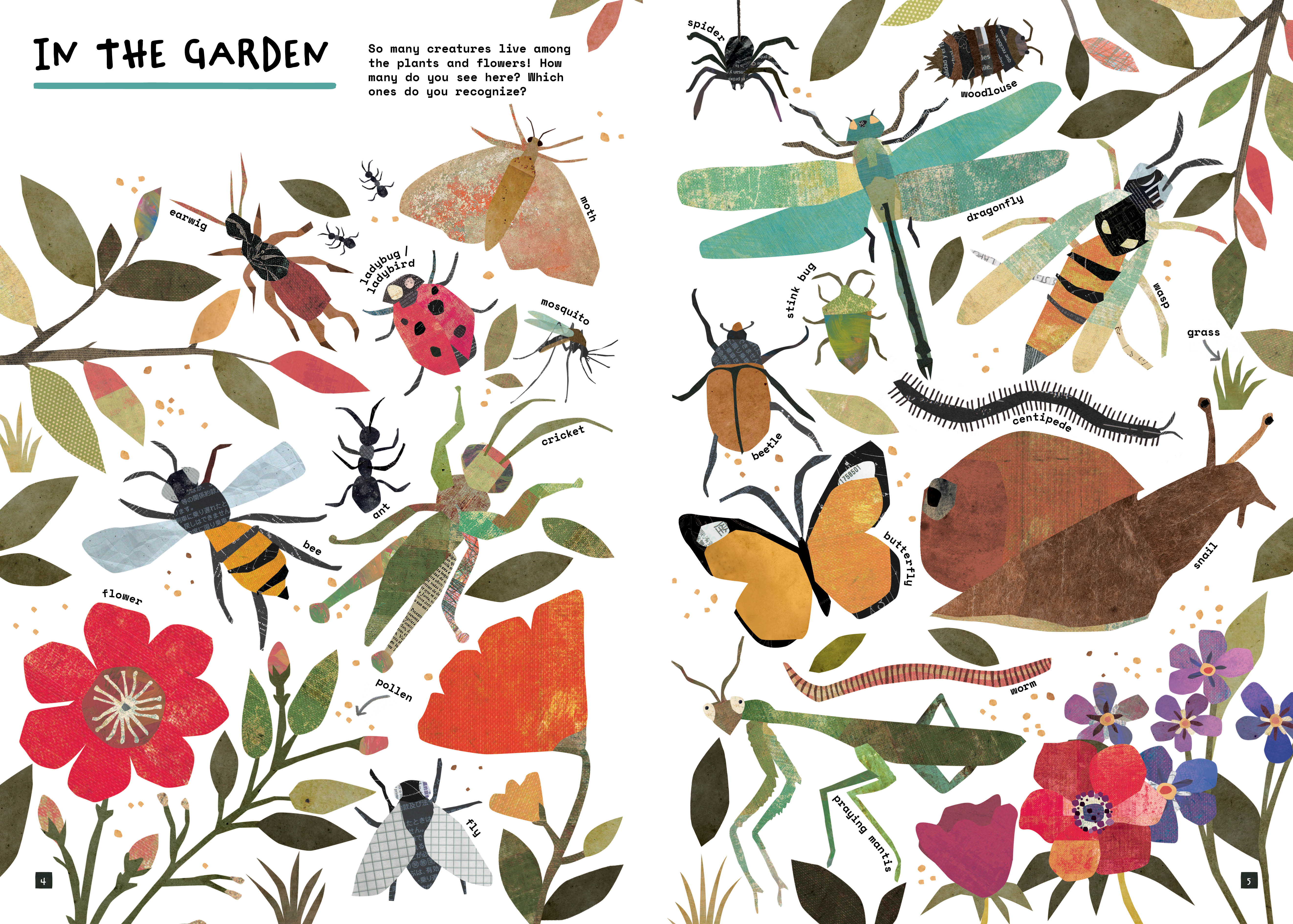 Interior image from So Many Things sticker book of insects and plants.
