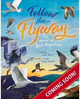 Follow the Flyway