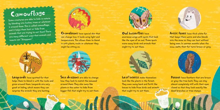 Sneak! | Ages 3-6 years | Board Book | Barefoot Books